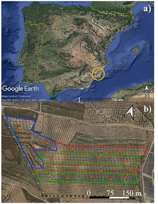 Predicting carob tree physiological parameters under different irrigation systems using Random Forest and Planet satellite images